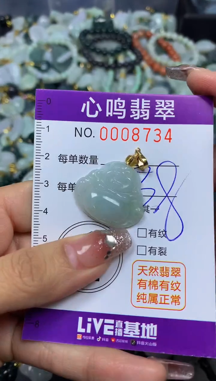 【闪购商品】翡翠颈饰未镶嵌闪购008734
