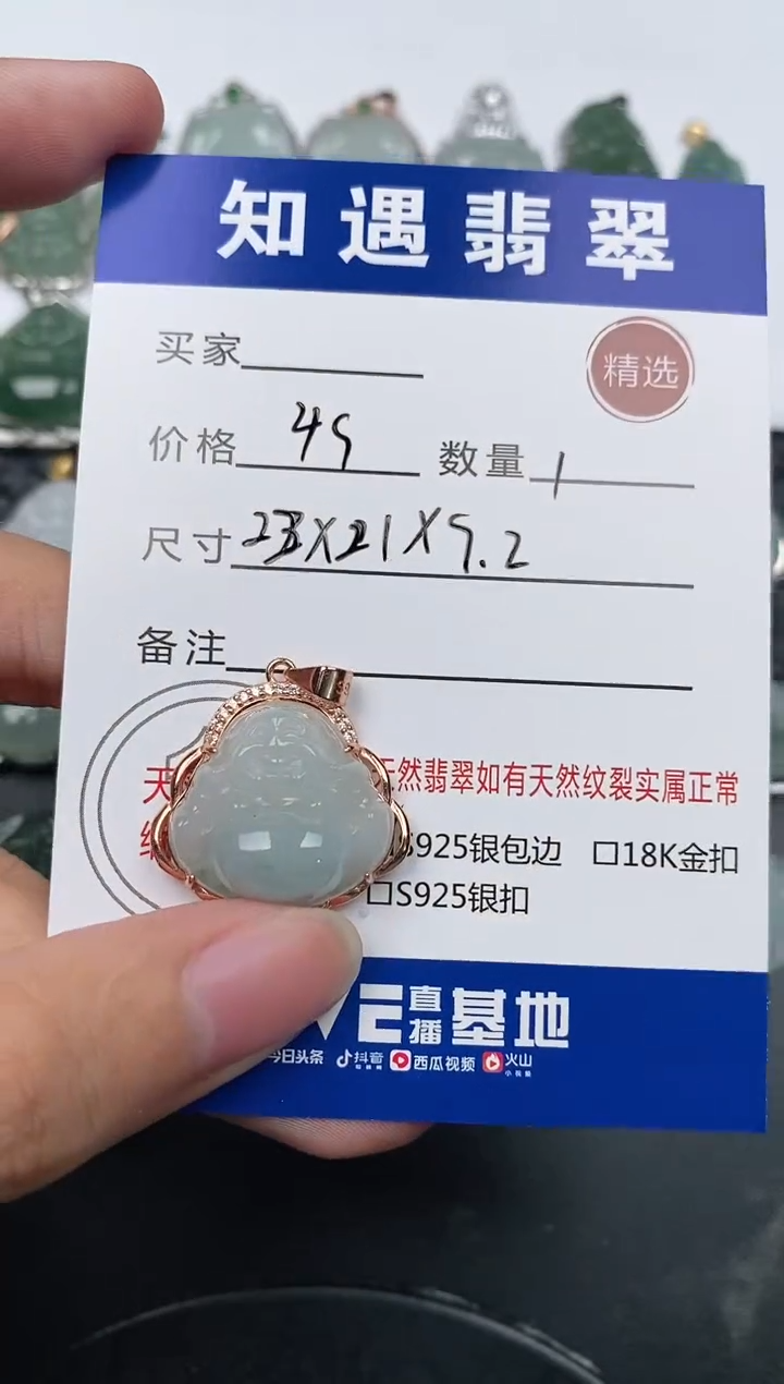 颈饰银S925镶嵌翡翠挂件