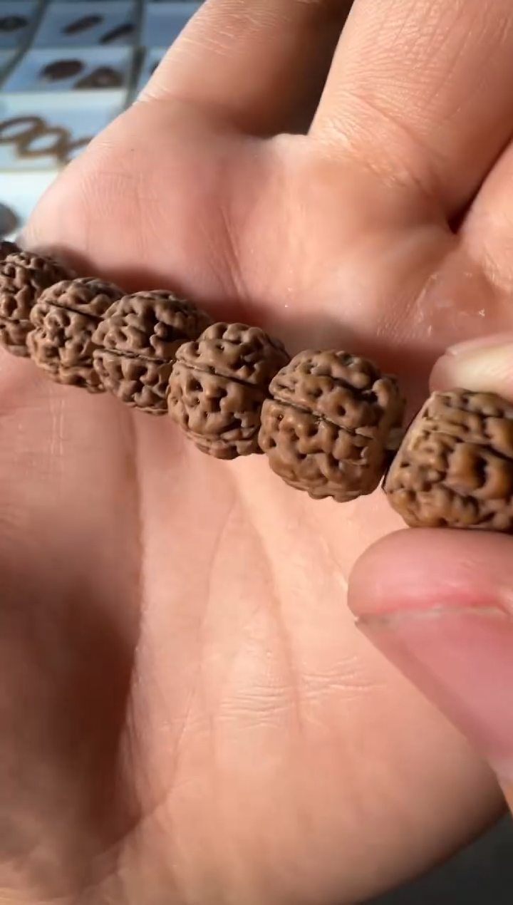 金刚菩提手串龙切一代·龙手持