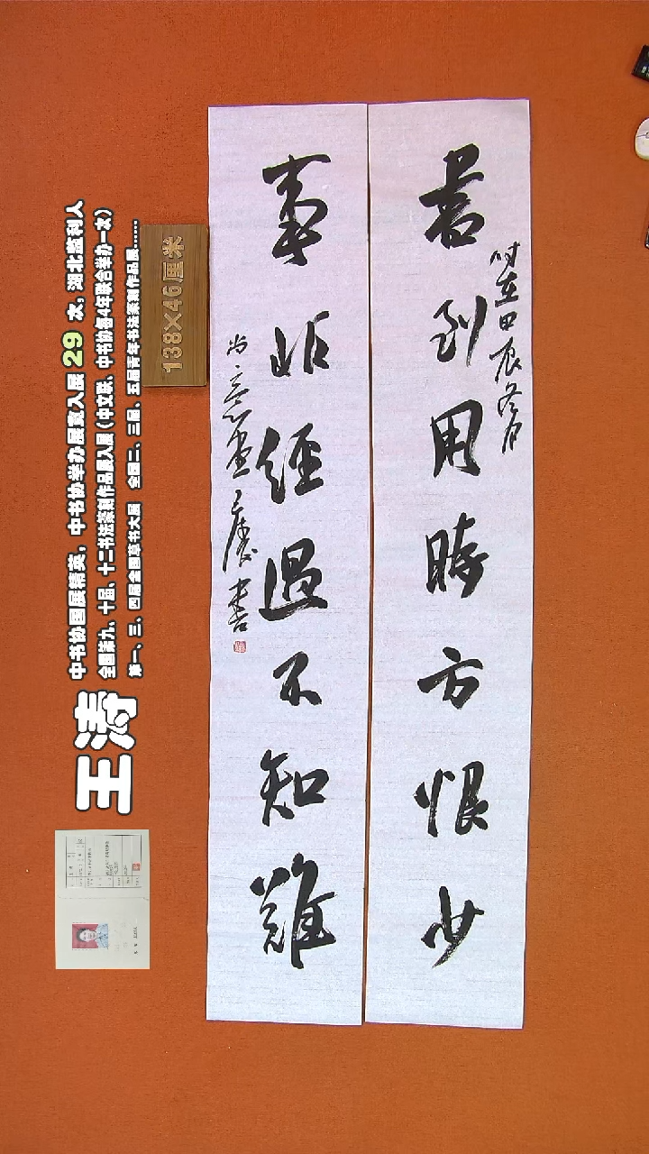 【闪购商品】书法351王涛书法作品