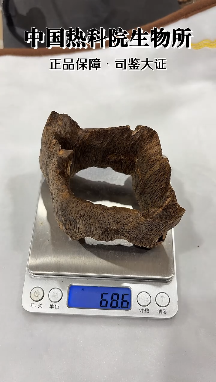 沉香摆件随形大摆件 68g