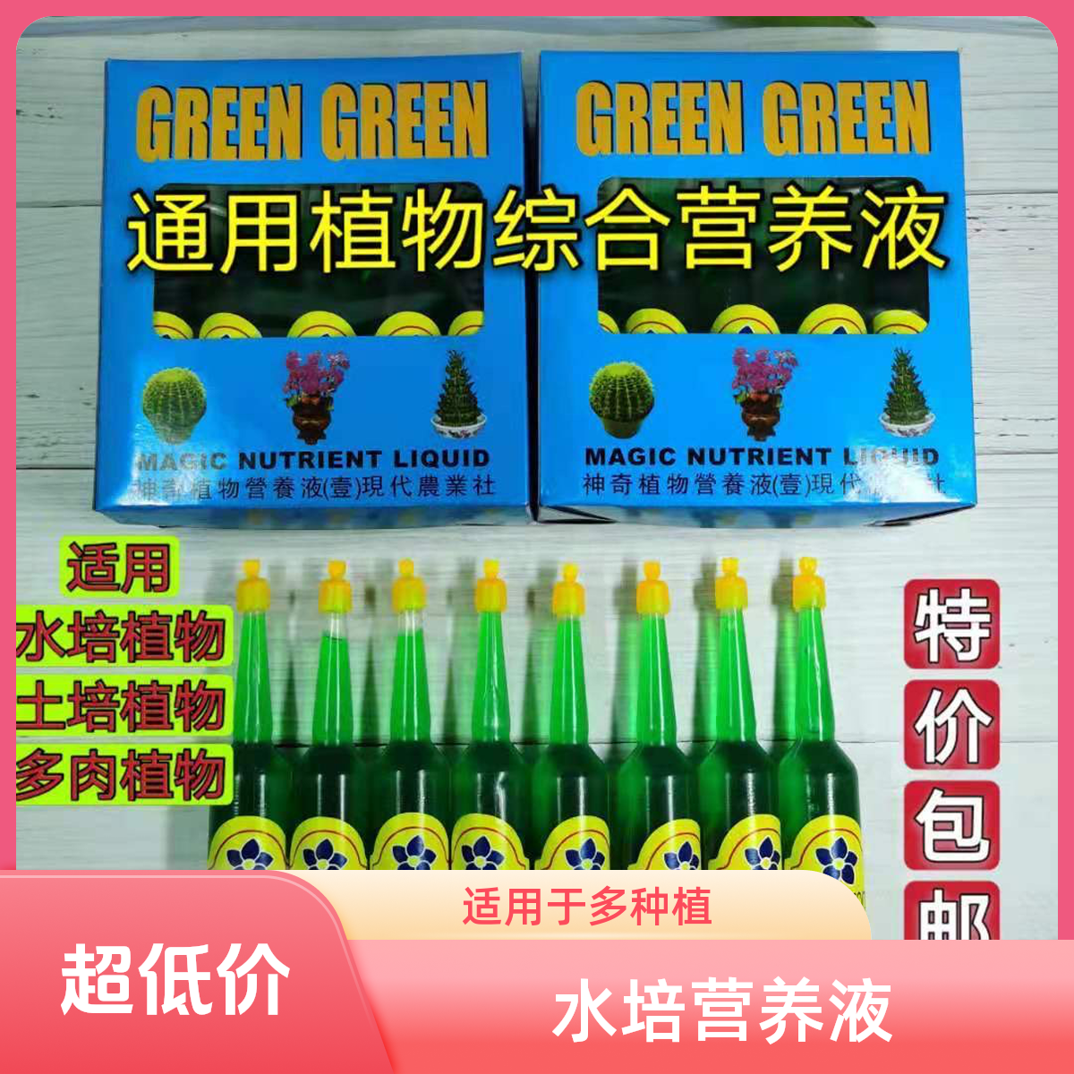 水培植物营养液家庭阳台办公室桌子水培富贵竹营养液全新肥料