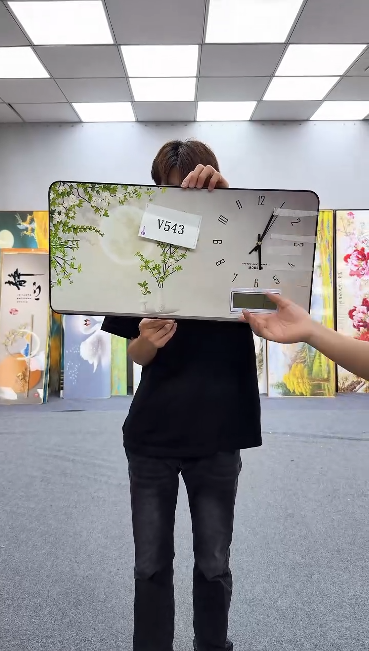 孤品微瑕黑马闪购V543