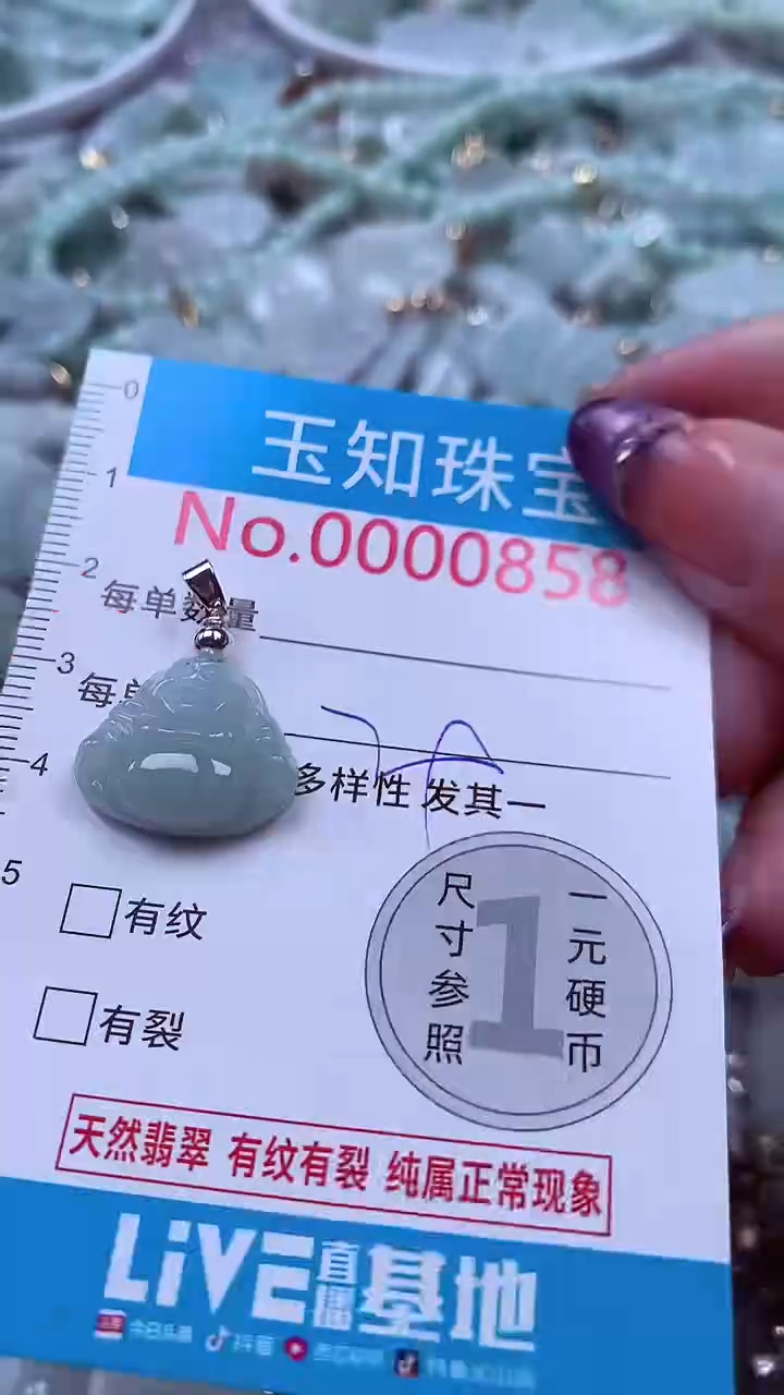 翡翠未镶嵌吊坠(不含链)858