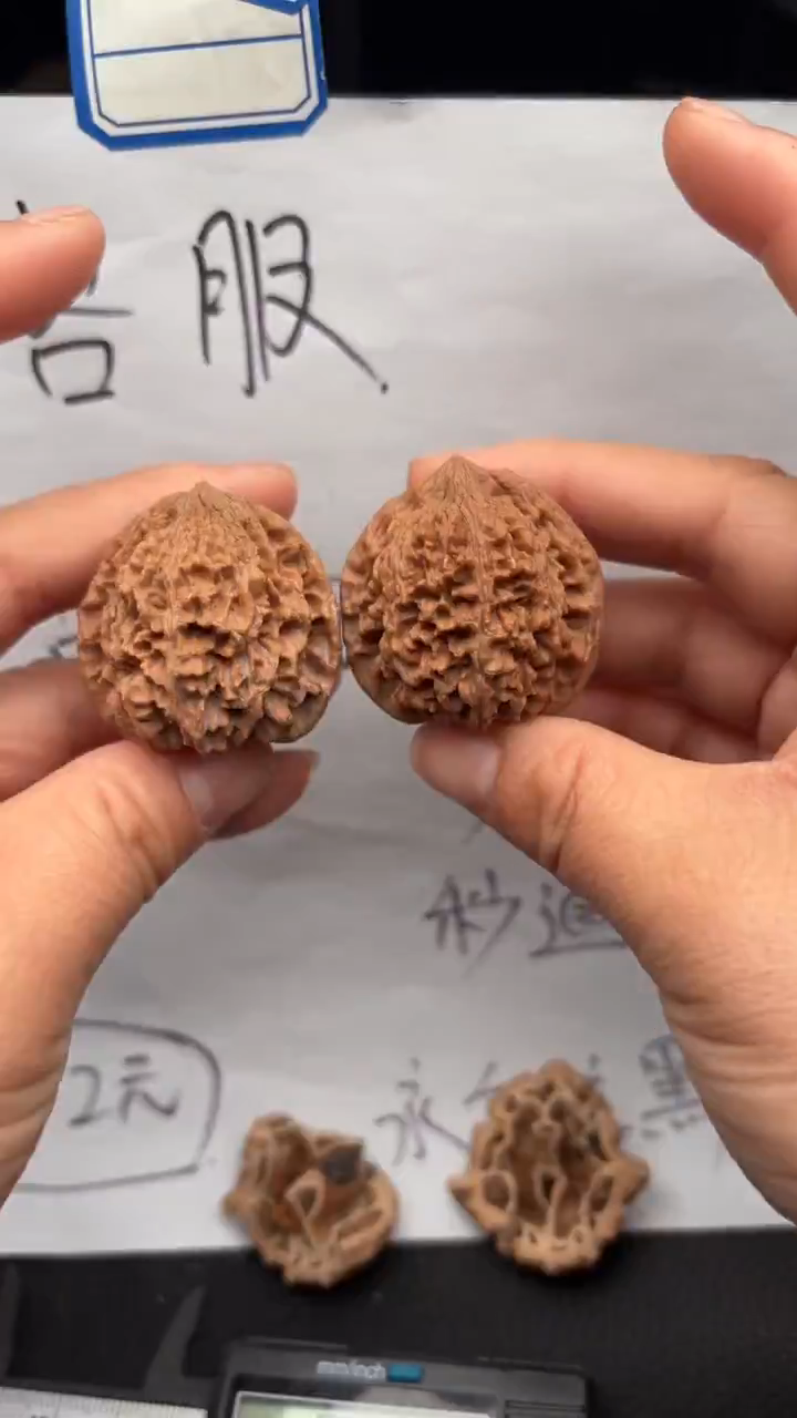 把件文玩核桃672满天星