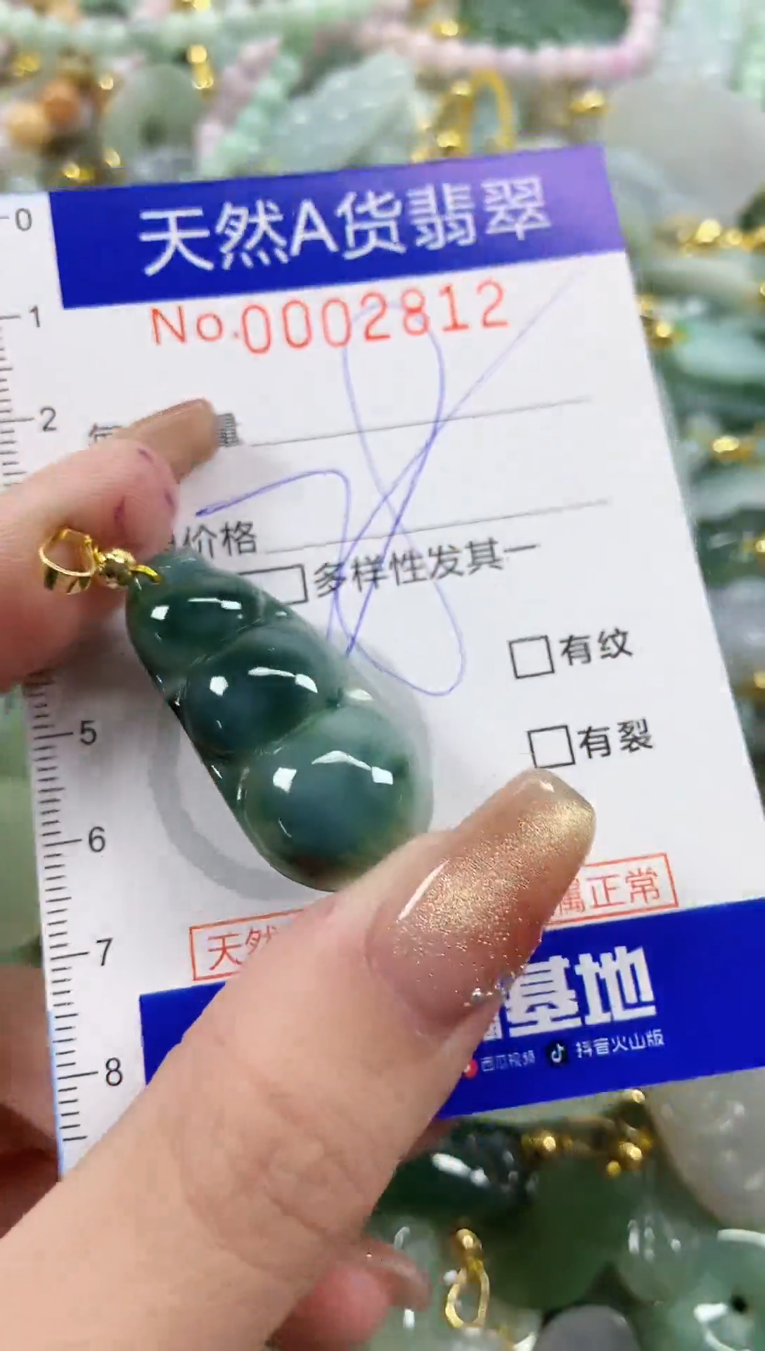 颈饰未镶嵌翡翠天然A货翡翠