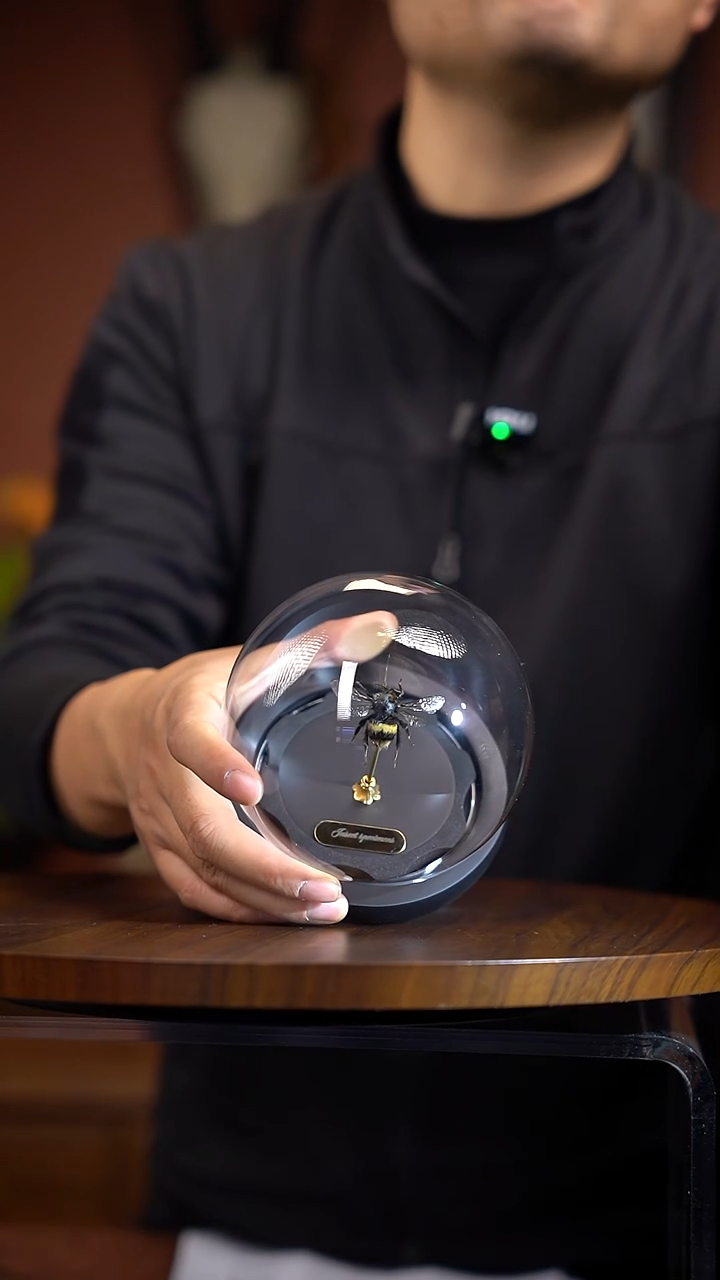 雄峰标本玻璃罩（常规）