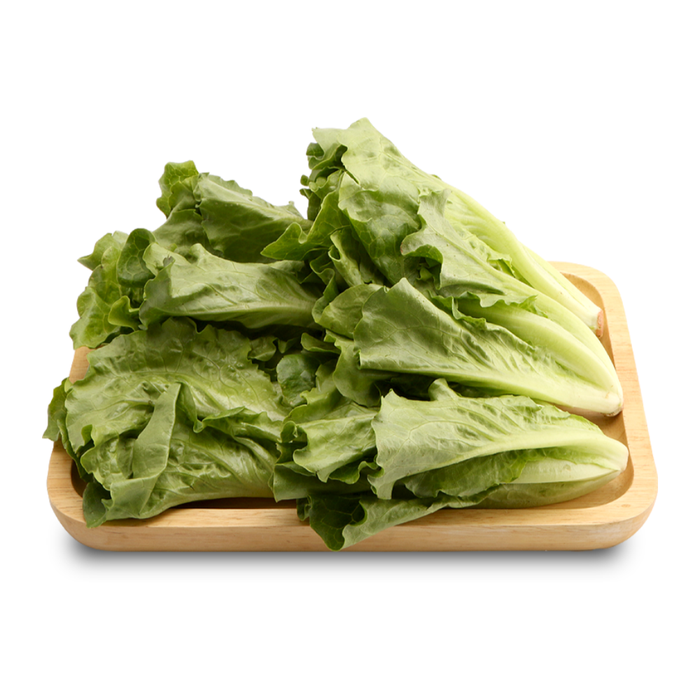 盒马苗苗菜 生菜苗(长度≤15cm)  250g