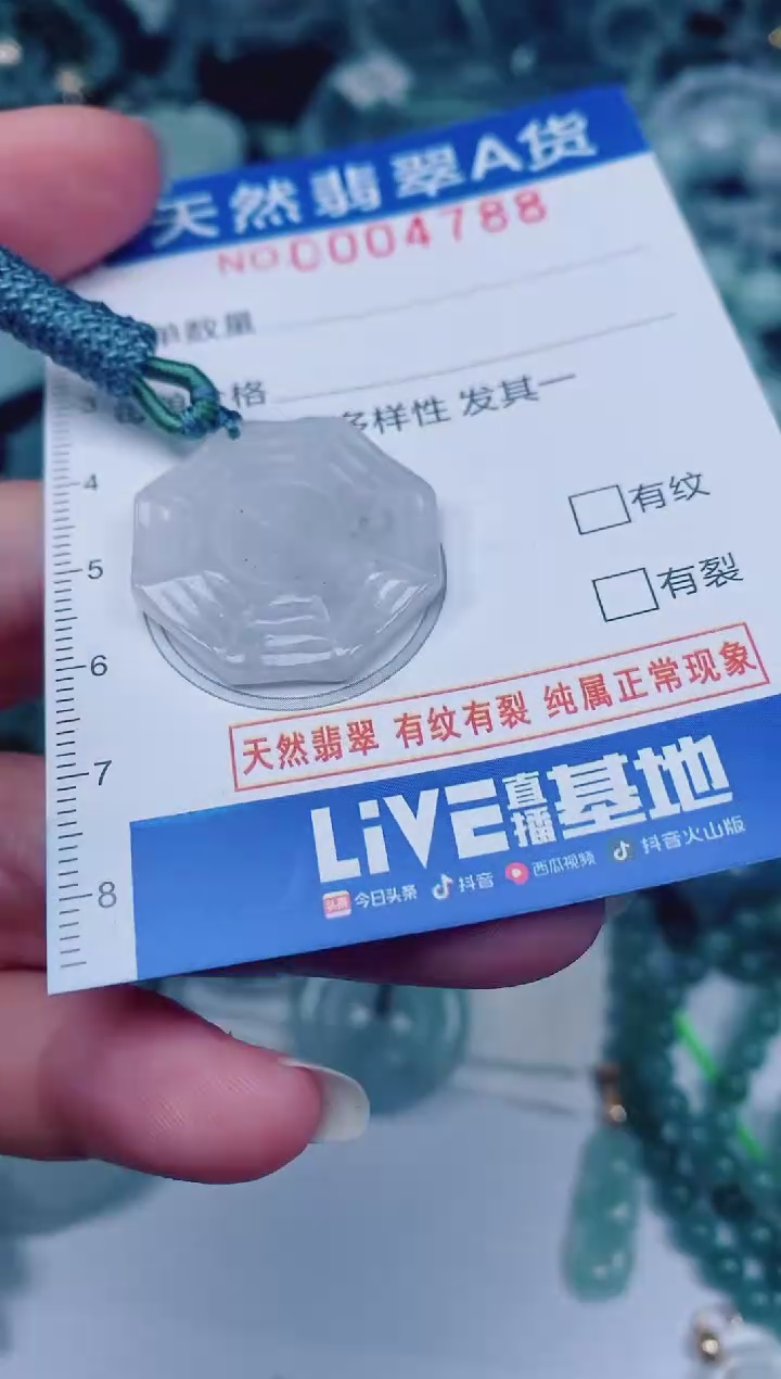 颈饰未镶嵌翡翠00004788