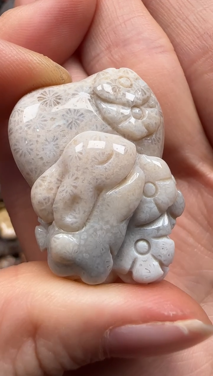 【闪购商品】硅化珊瑚（珊瑚玉）颈饰未镶嵌533