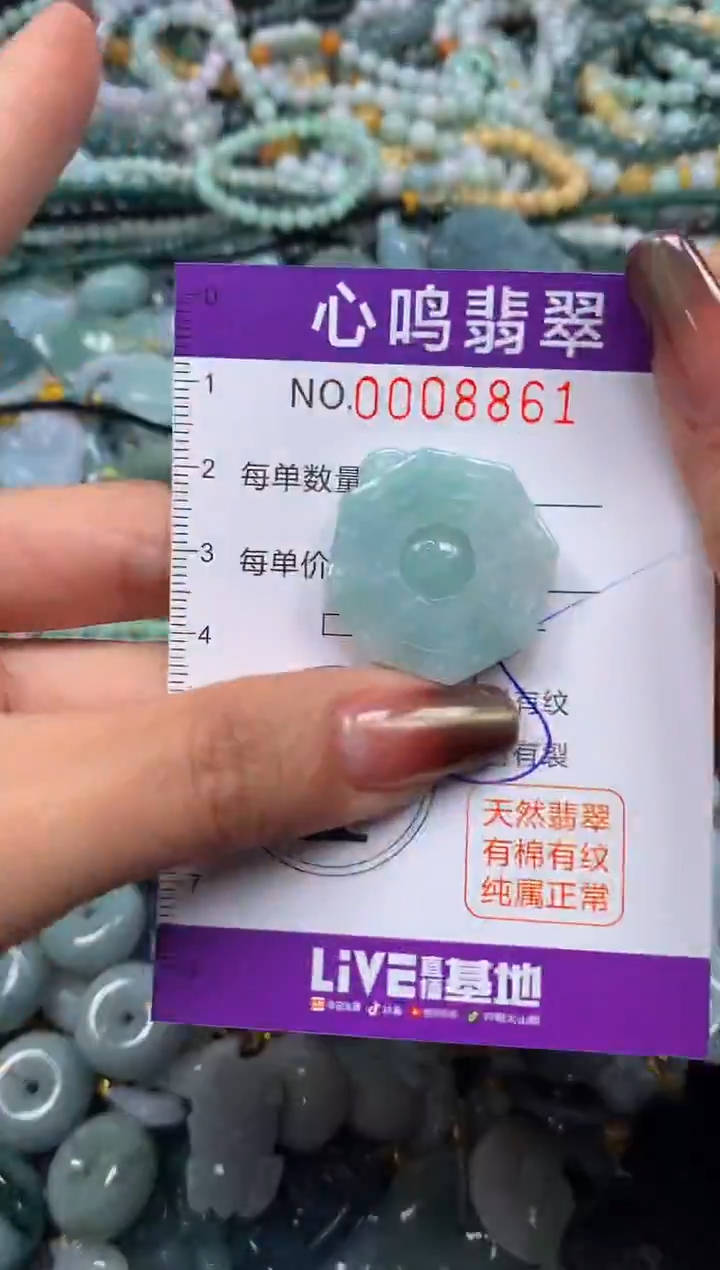 颈饰未镶嵌翡翠闪购008861