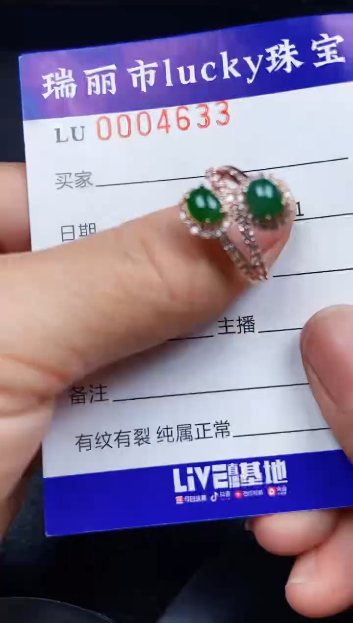 翡翠银S925镶嵌颈饰4633