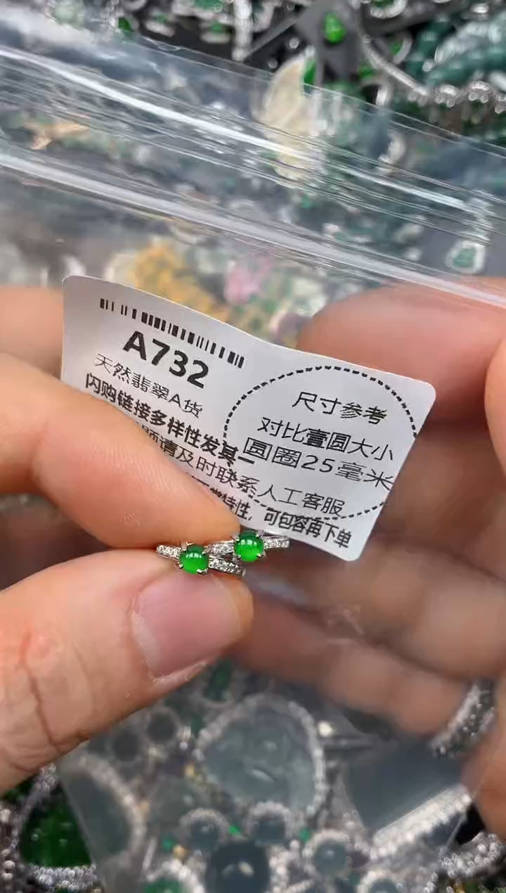 颈饰未镶嵌翡翠A732耳扣