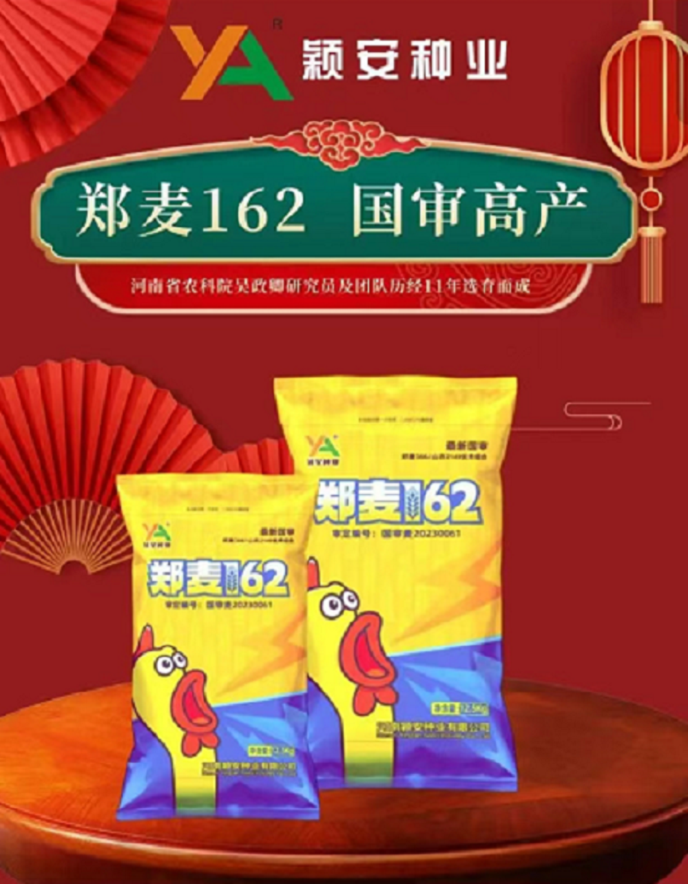 国审郑麦162高产优质小麦种子抗旱抗病抗倒耐寒高产小麦种子推荐