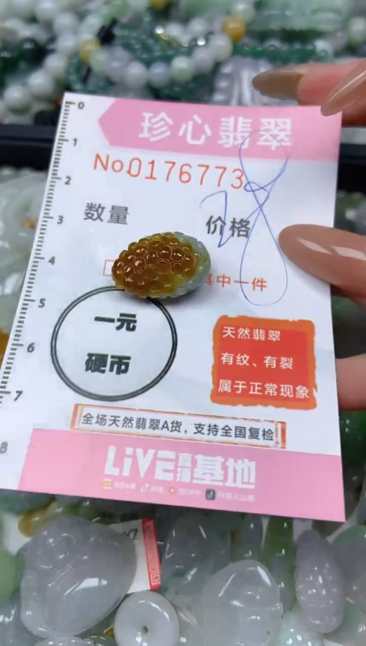 【闪购商品】翡翠颈饰未镶嵌闪购0176773