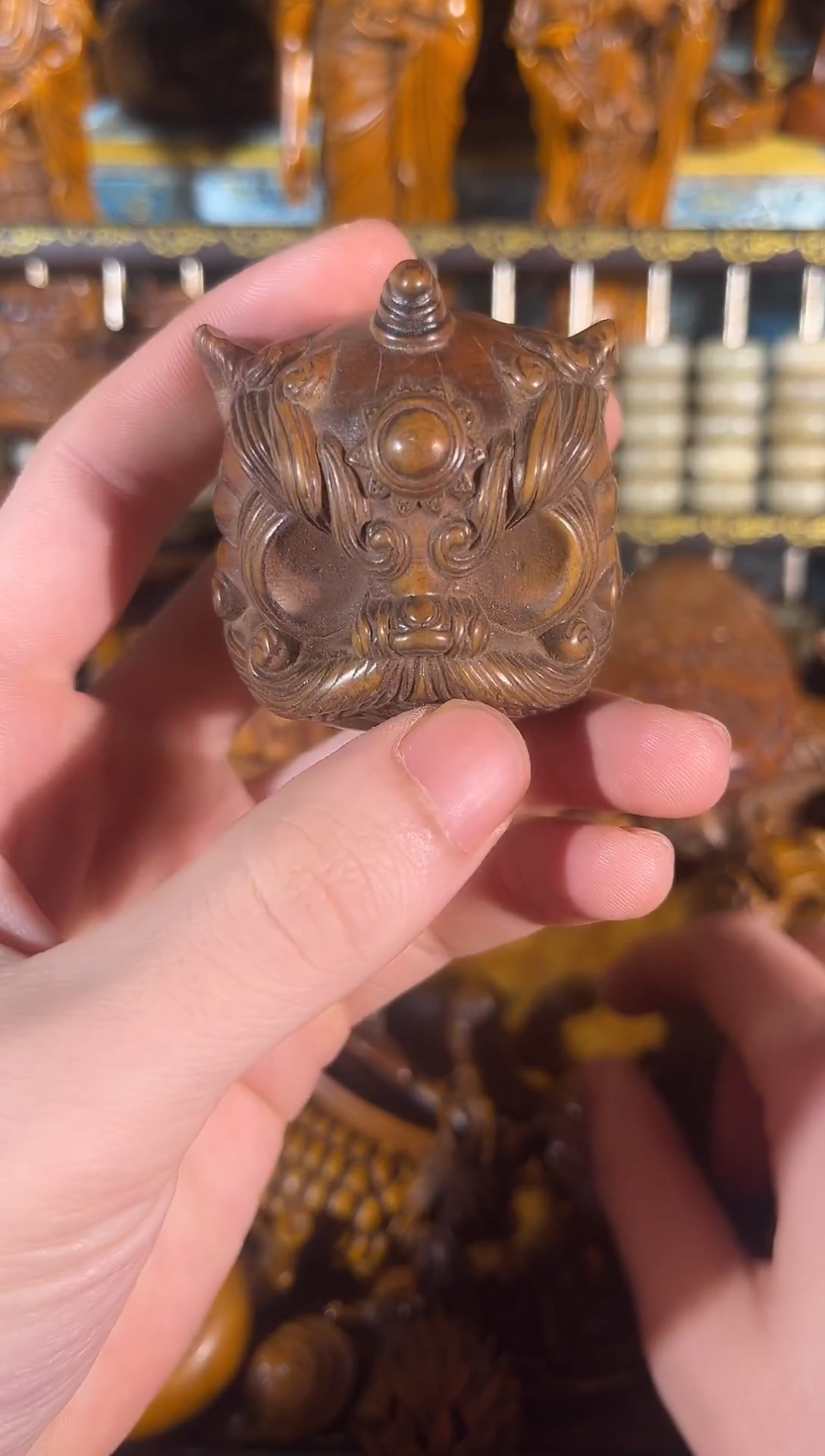 黄杨木011111111111