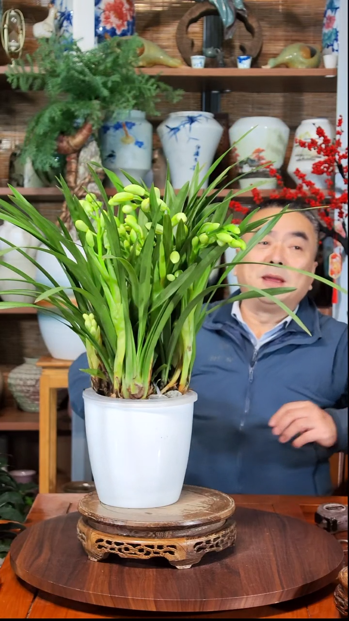无花朵谁****着水之韵水培白玉香兰