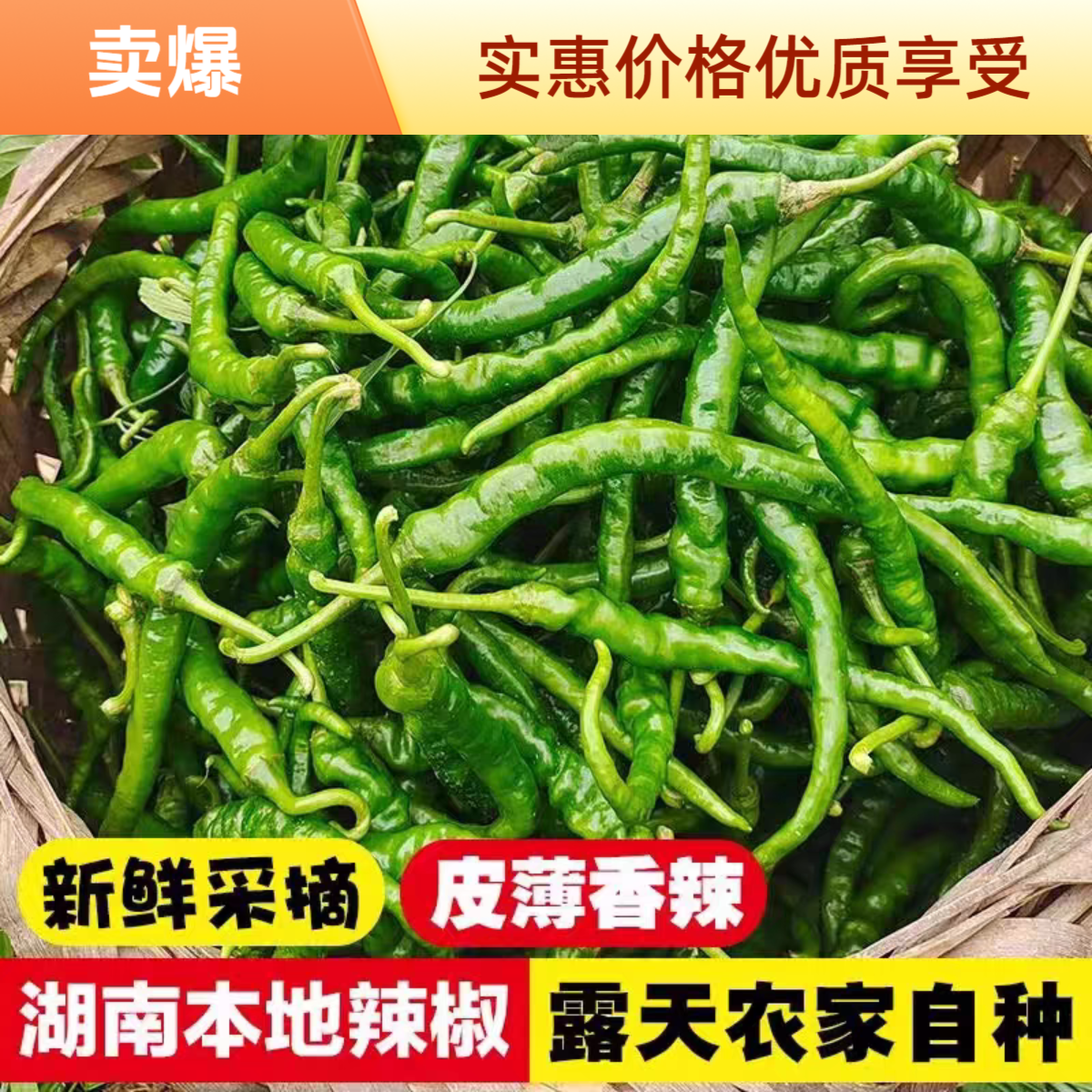 湖南农家自种新鲜青椒薄皮辣椒超辣虎皮螺丝椒香辣巨辣特辣椒薄皮