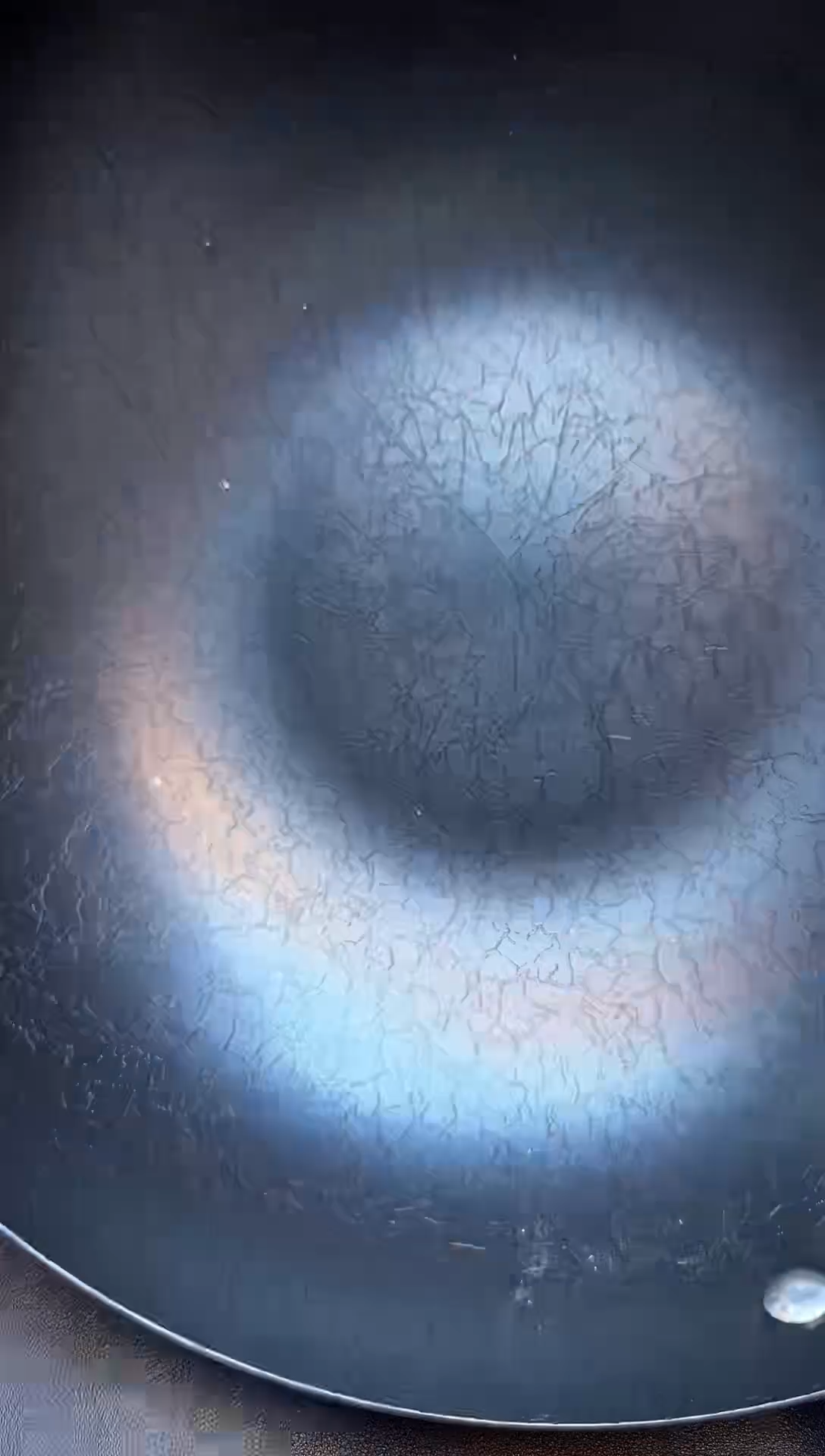 瓷片全新正品一件不留@@WE512