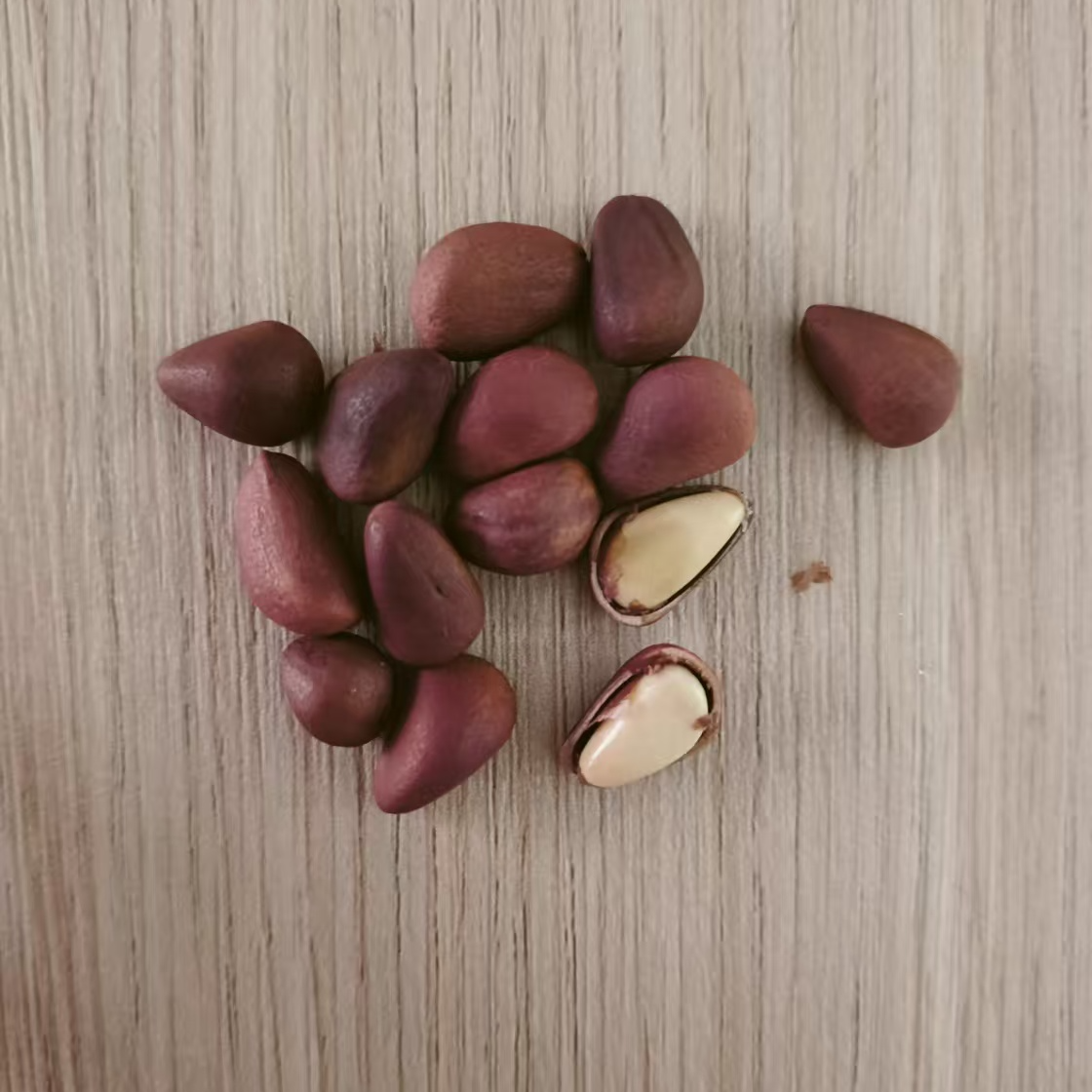 东北红松子500克一袋