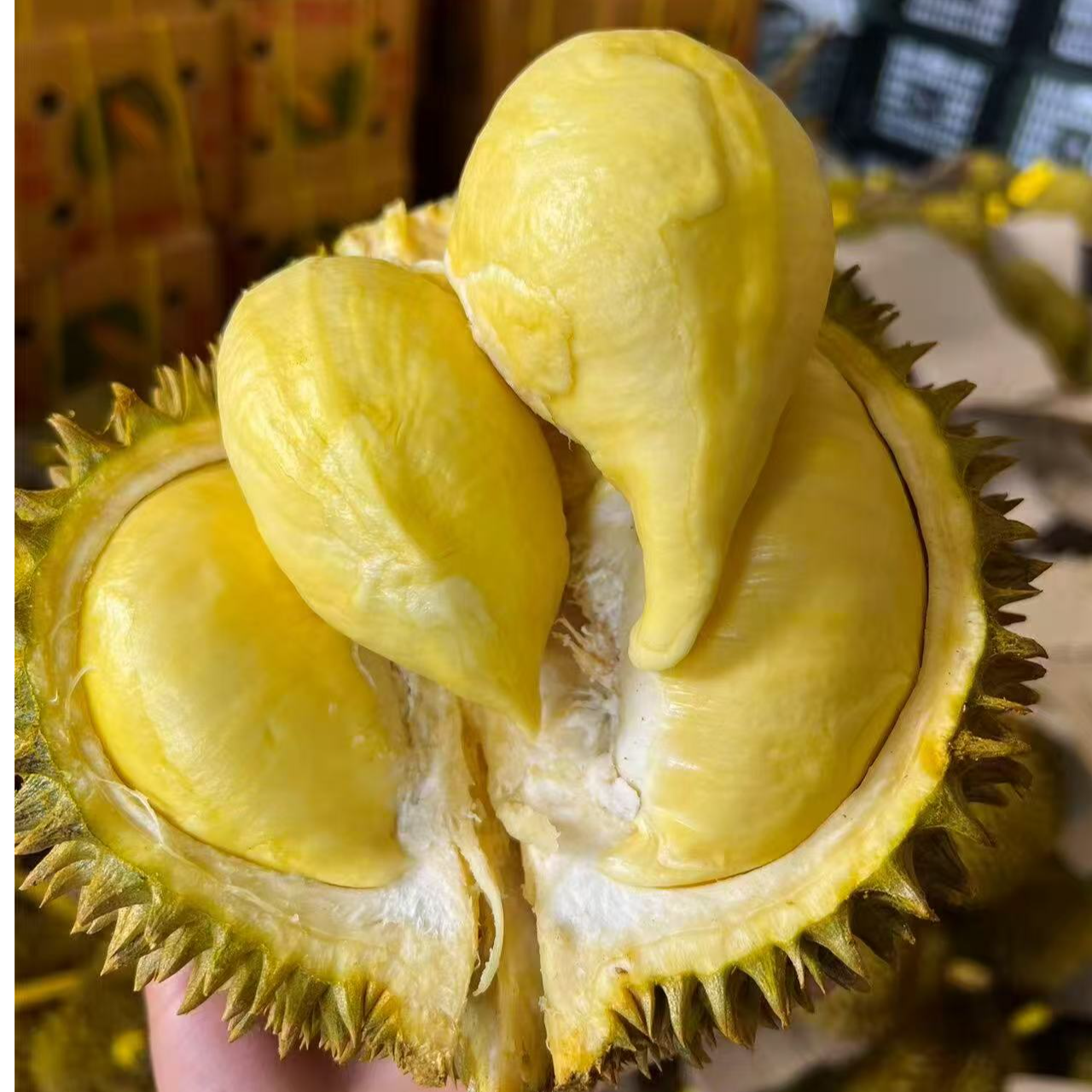 【越南干扰】当季新鲜干扰A果3~8斤软糯香甜保3~5放顺丰次日达 核大介意勿拍！！！干尧越南社会主义共和国