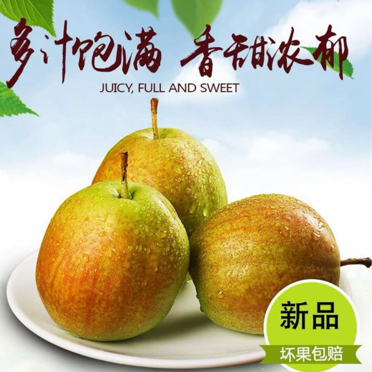 正宗阳信媚梨7号新鲜水果清甜酥脆皮薄多汁无酸无渣