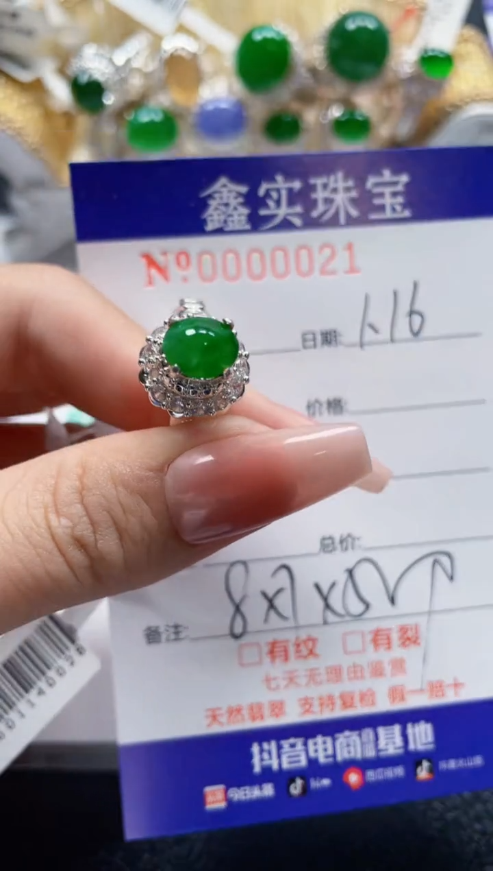 【闪购商品】翡翠颈饰未镶嵌/00210000