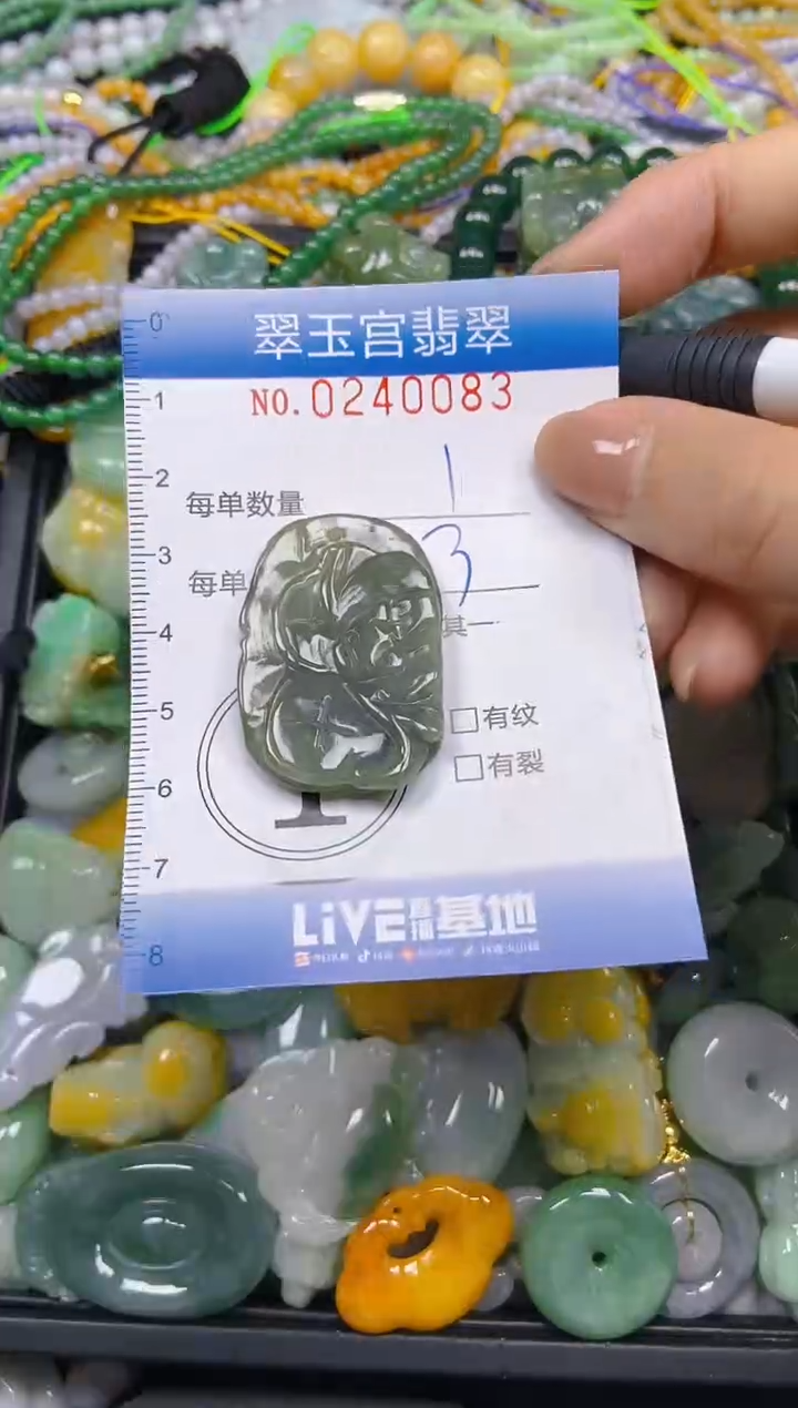 颈饰未镶嵌翡翠闪购C0240083