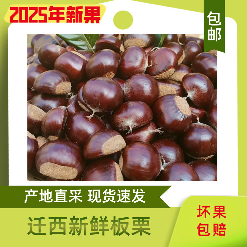 （礼盒装）25年迁西精选鲜板栗早期3113大果鲜板栗
