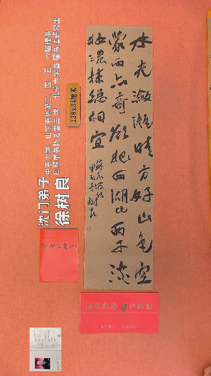 【闪购商品】书法9      徐树良书法作品