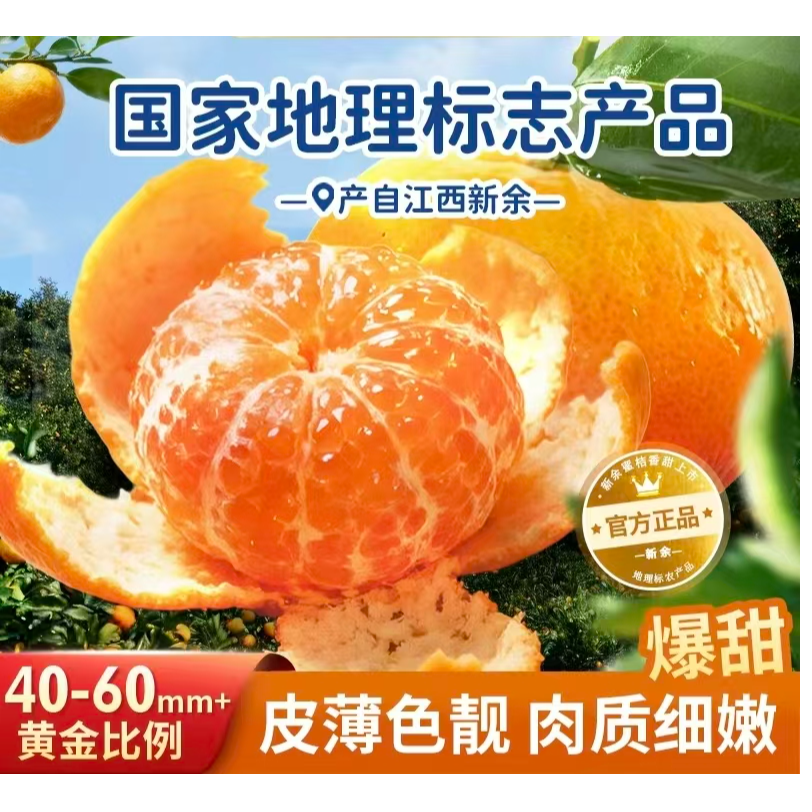 【顺丰包邮 送货上门】新余蜜桔源头直发新鲜水果皮薄肉厚老少皆宜