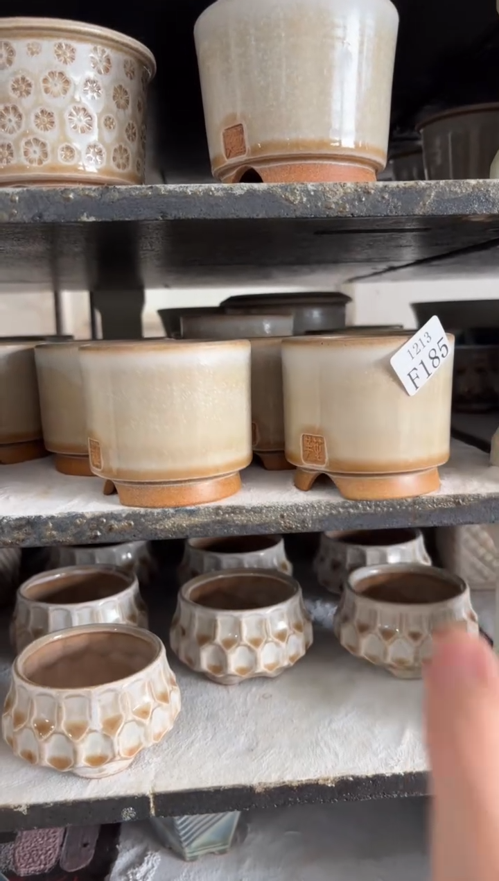 口径6花盆-12-13-185混发一个特