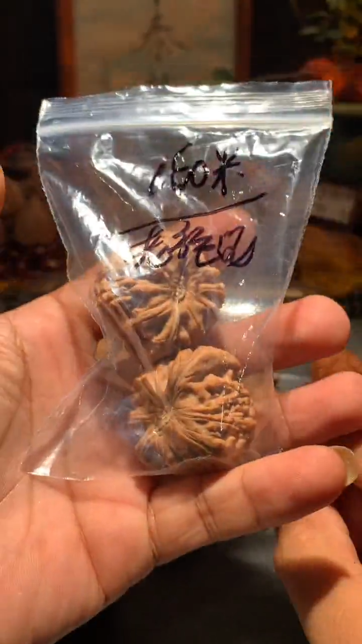 把件桃核老*呢丰泰文玩 白狮子  40  尺寸左右