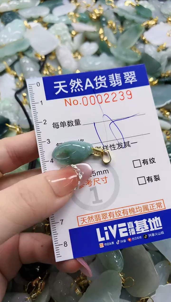 颈饰未镶嵌翡翠天**命天然A货翡翠