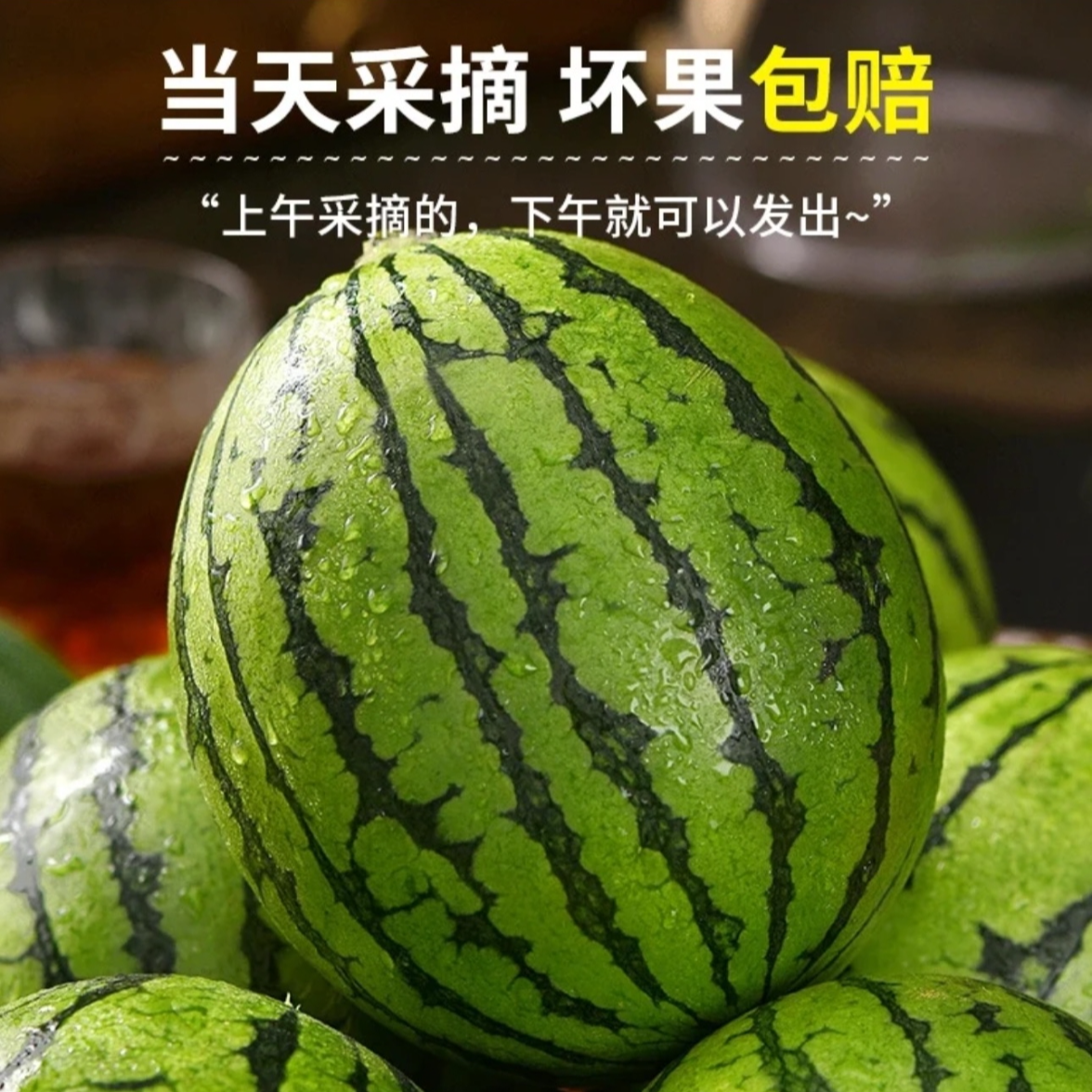 【顺丰包邮】头茬2k手撕小糖丸西瓜冰糖西瓜现采现摘薄皮小西瓜