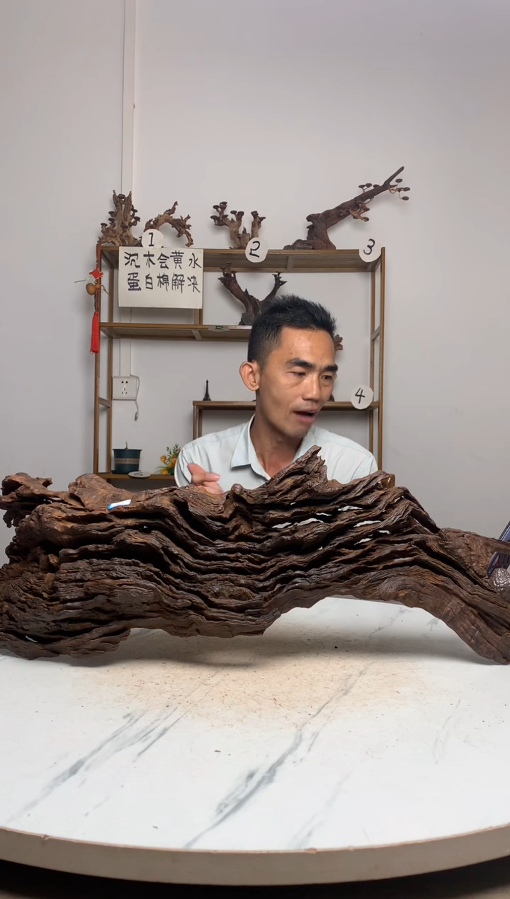 我***车鱼缸造景沉木摆件