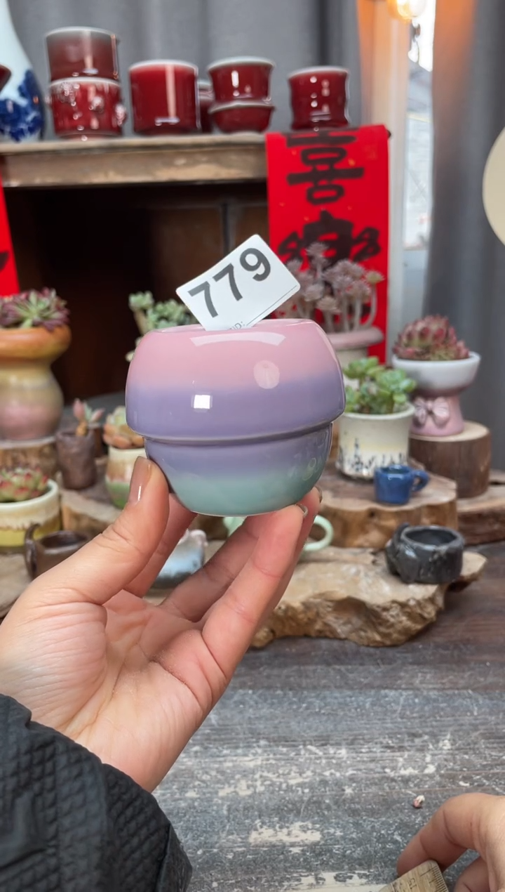 【闪购商品】摆件779知木小芳花盆