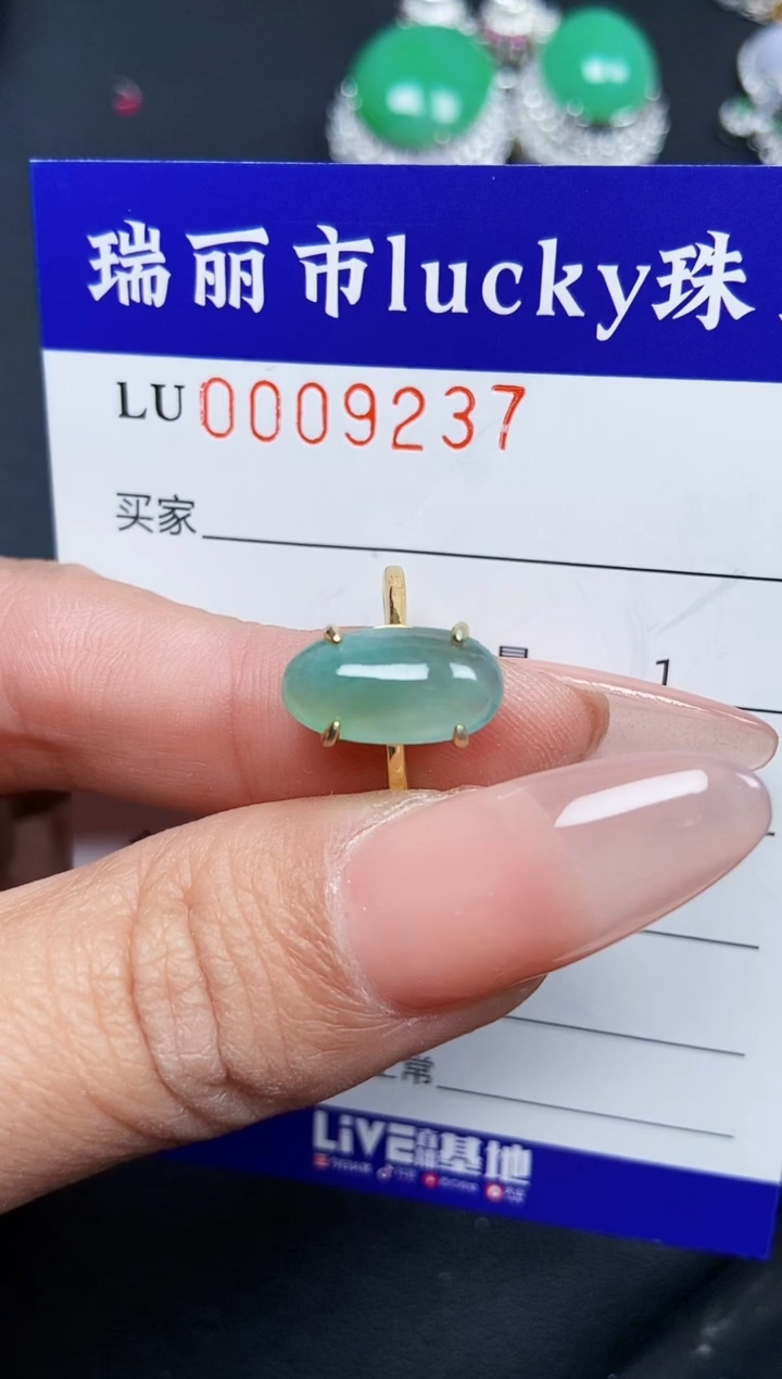 【闪购商品】翡翠颈饰银S925镶嵌9237