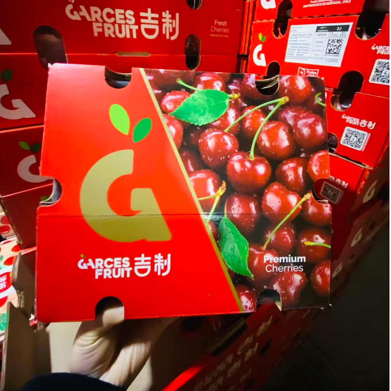 2JD 5斤净重原箱 吉制 海运车厘子桑提娜智利