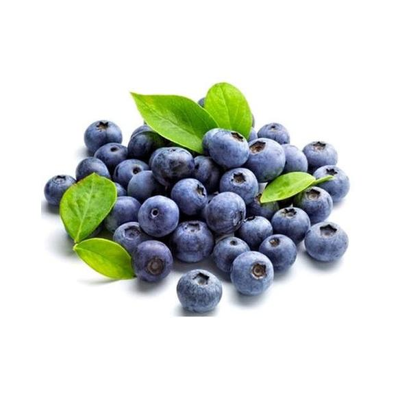 云南新鲜脆甜蓝莓净重250g28元两盒17MM-MM