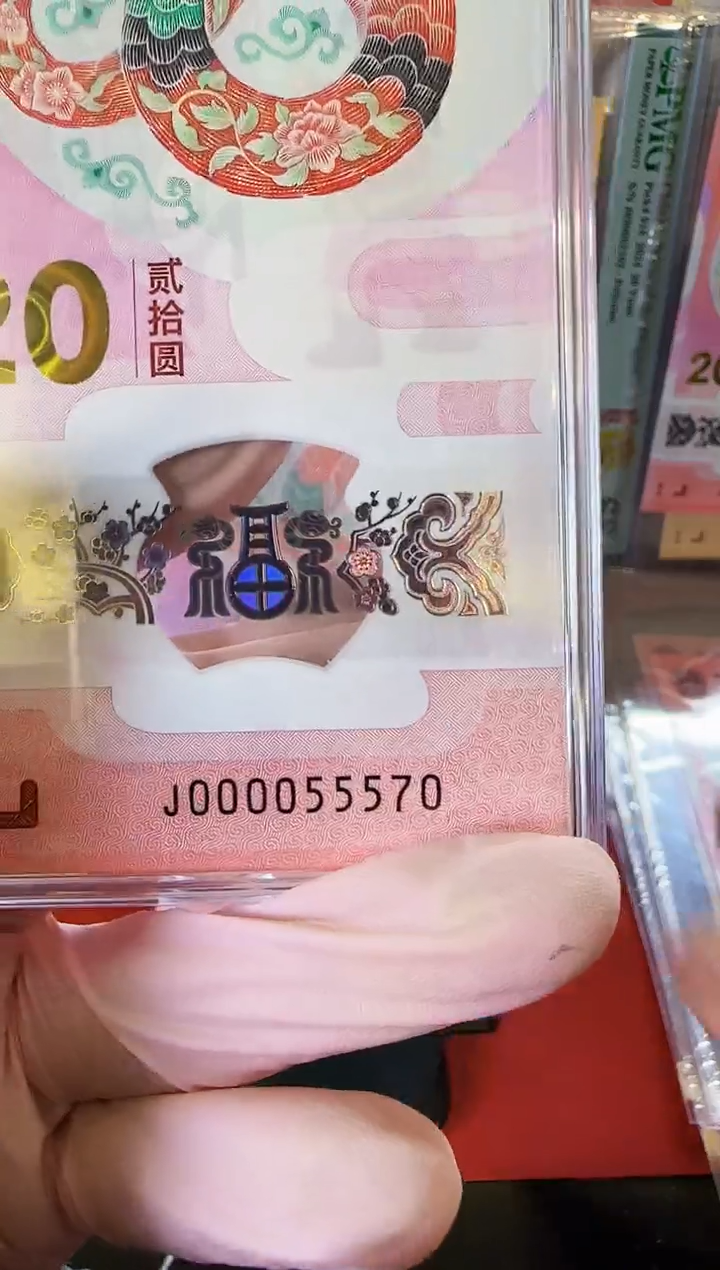 【闪购商品】塑料2025蛇钞单张000055570裸