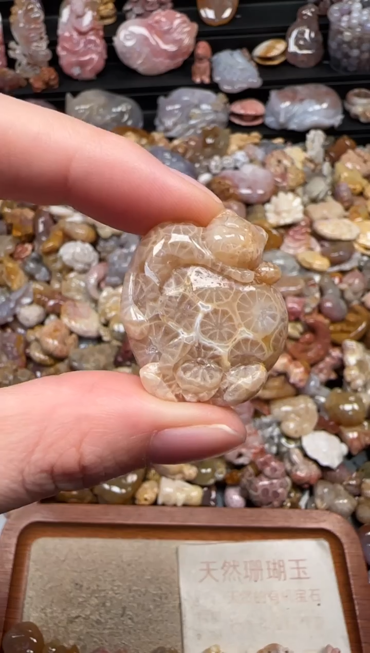 颈饰未镶嵌硅化珊瑚（珊瑚玉）639