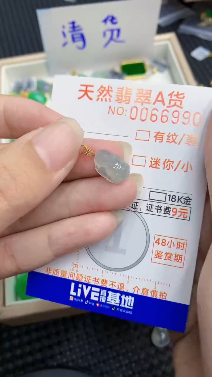 【闪购商品】翡翠颈饰18K金镶嵌            8