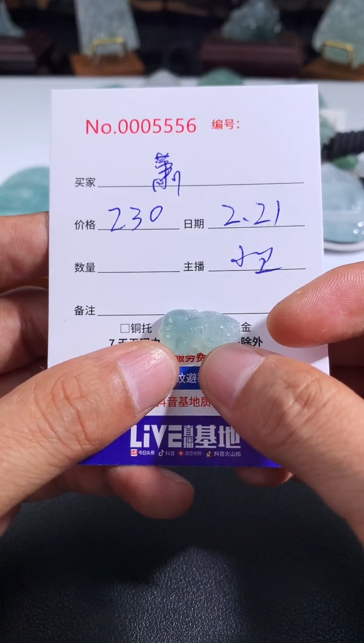 【闪购商品】翡翠颈饰未镶嵌 萧