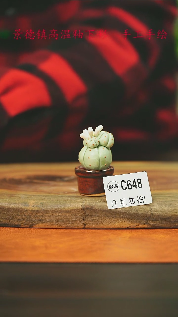 【闪购商品】微瑕景德镇手工手绘648