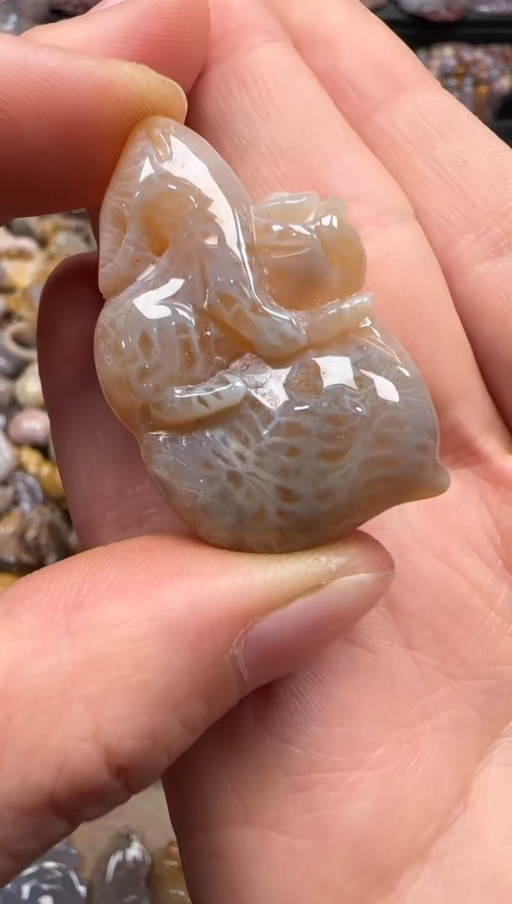 【闪购商品】硅化珊瑚（珊瑚玉）颈饰未镶嵌092