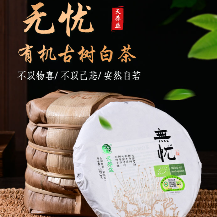 天养益“无忧”古树白茶 2024年 200克 有机古树