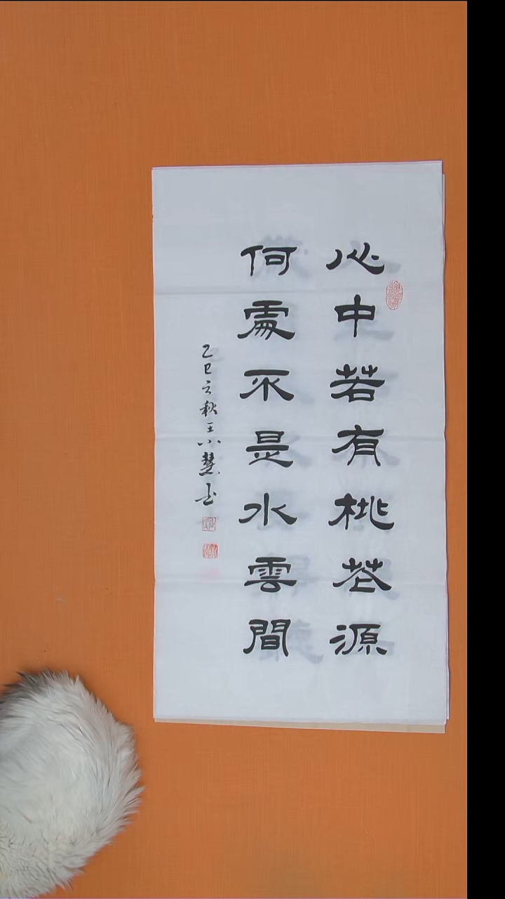 书法王老师纯手写精美作品100*50