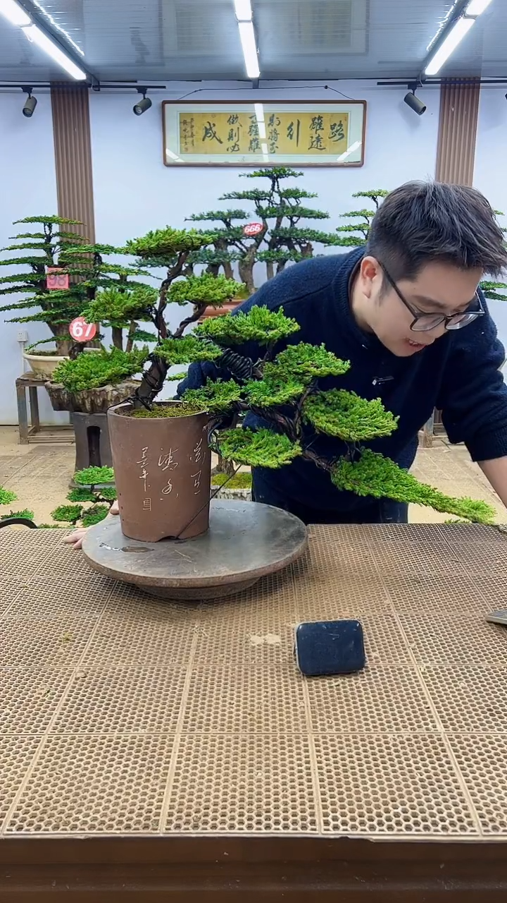 无花朵00000000000