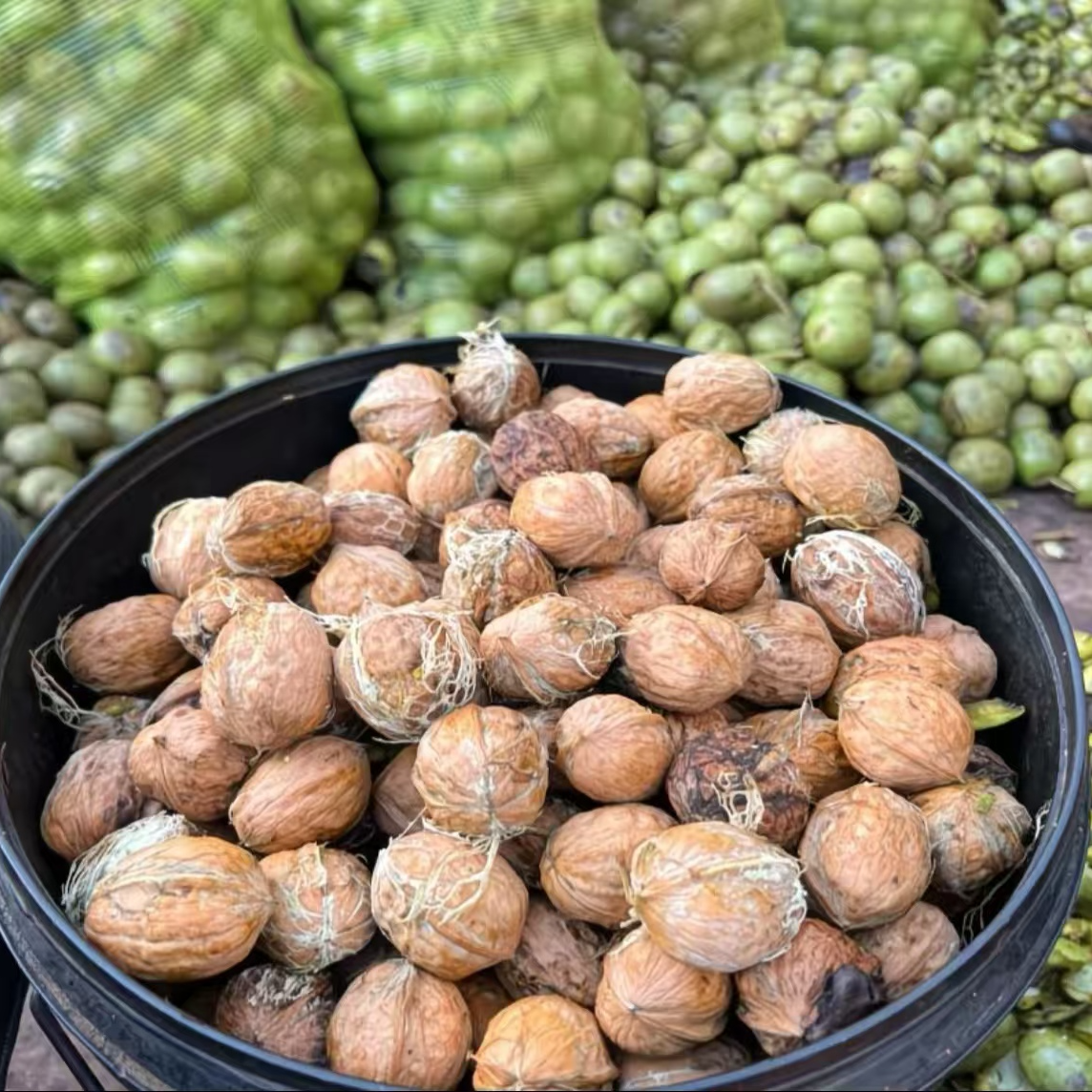云南大山老树新鲜现摘青皮薄壳核桃鲜甜脆香营养美味